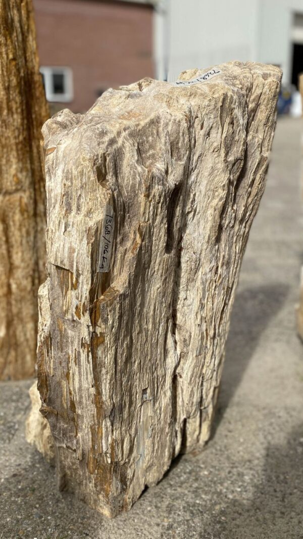 Memorial stone petrified wood 52161