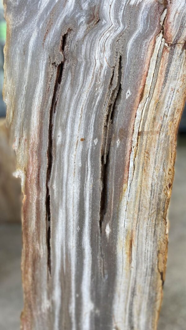 Memorial stone petrified wood 52170