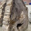 Memorial stone petrified wood 52179