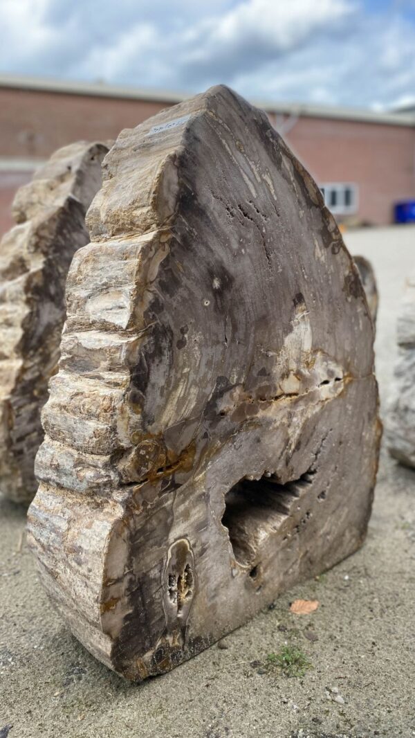 Memorial stone petrified wood 52179