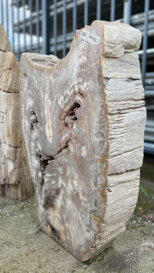 Memorial stone petrified wood 52181