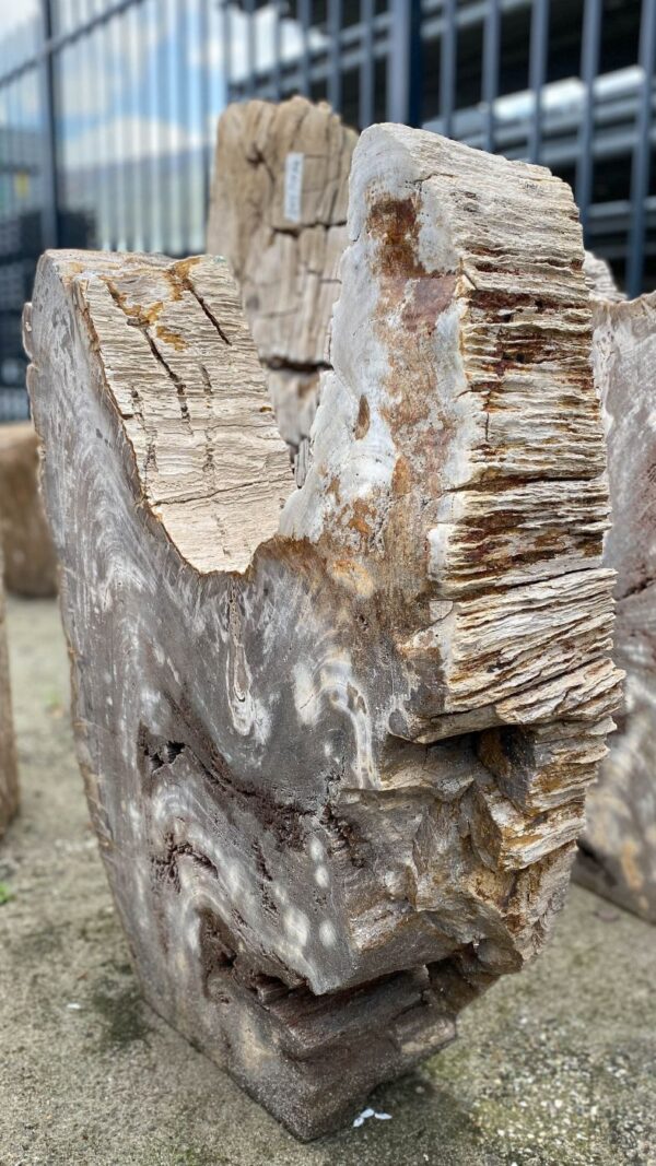 Memorial stone petrified wood 52184