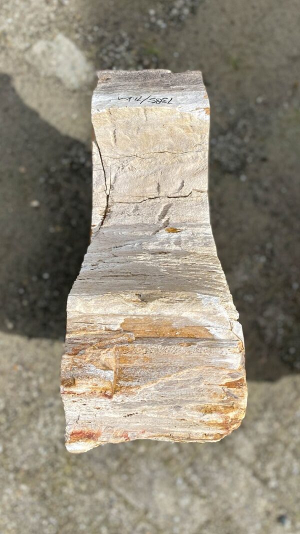 Memorial stone petrified wood 52185