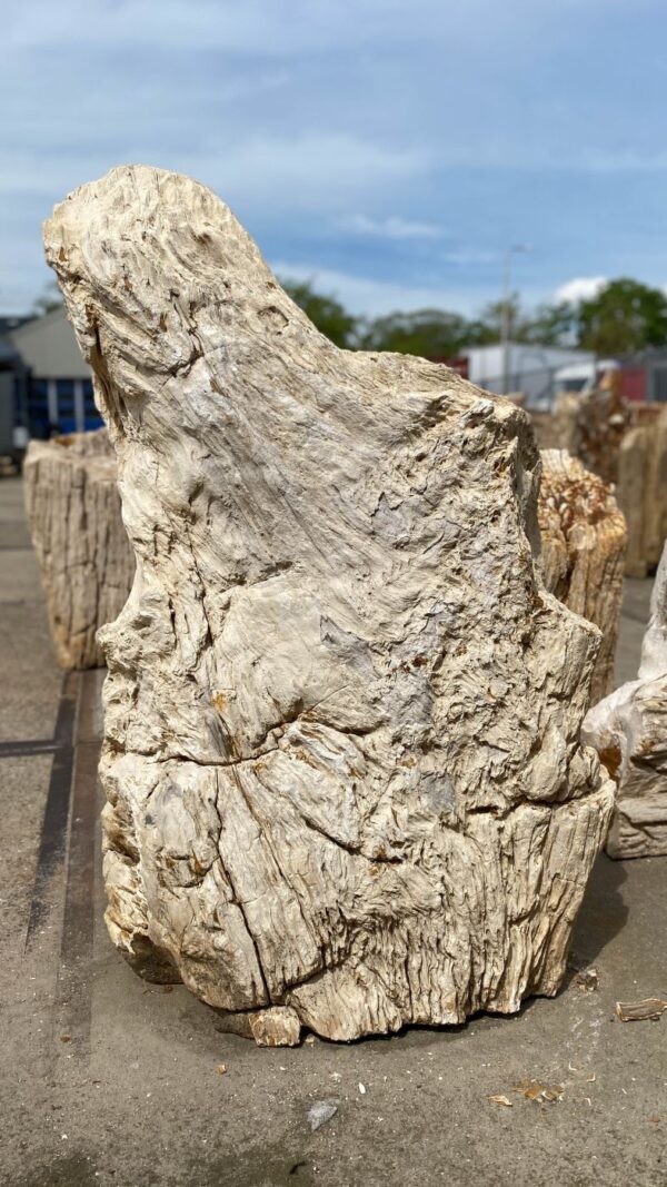 Memorial stone petrified wood 53074