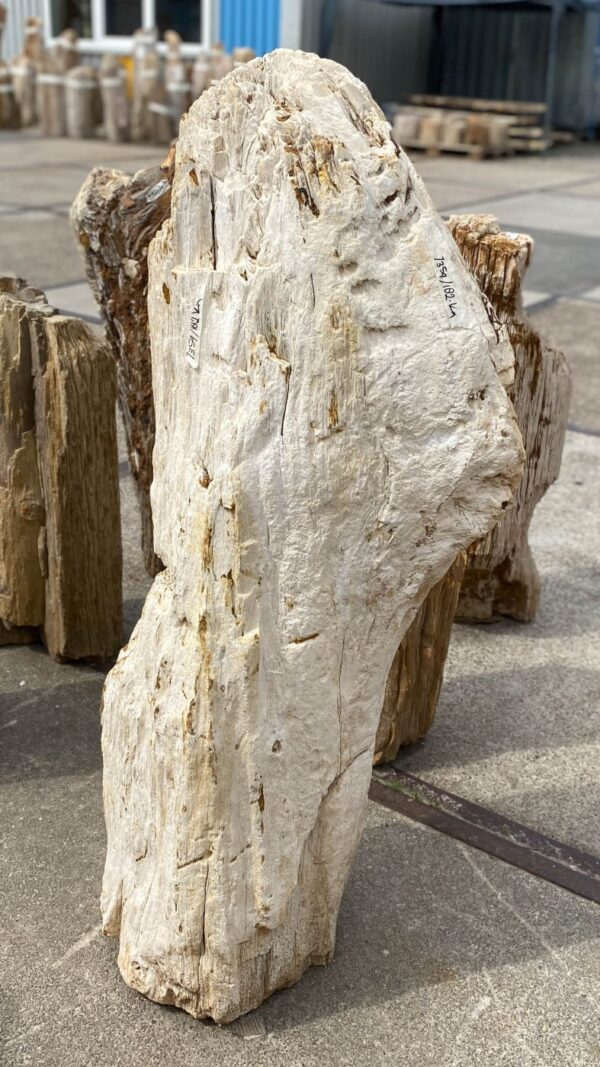 Memorial stone petrified wood 53083