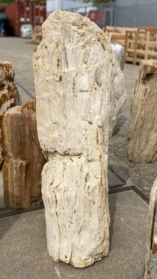 Memorial stone petrified wood 53083