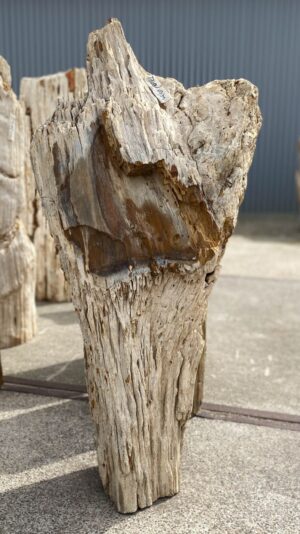 Memorial stone petrified wood 53084