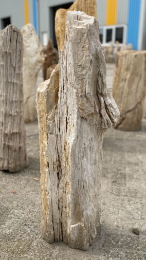 Memorial stone petrified wood 53090