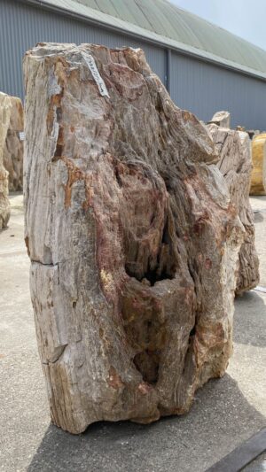 Memorial stone petrified wood 53091