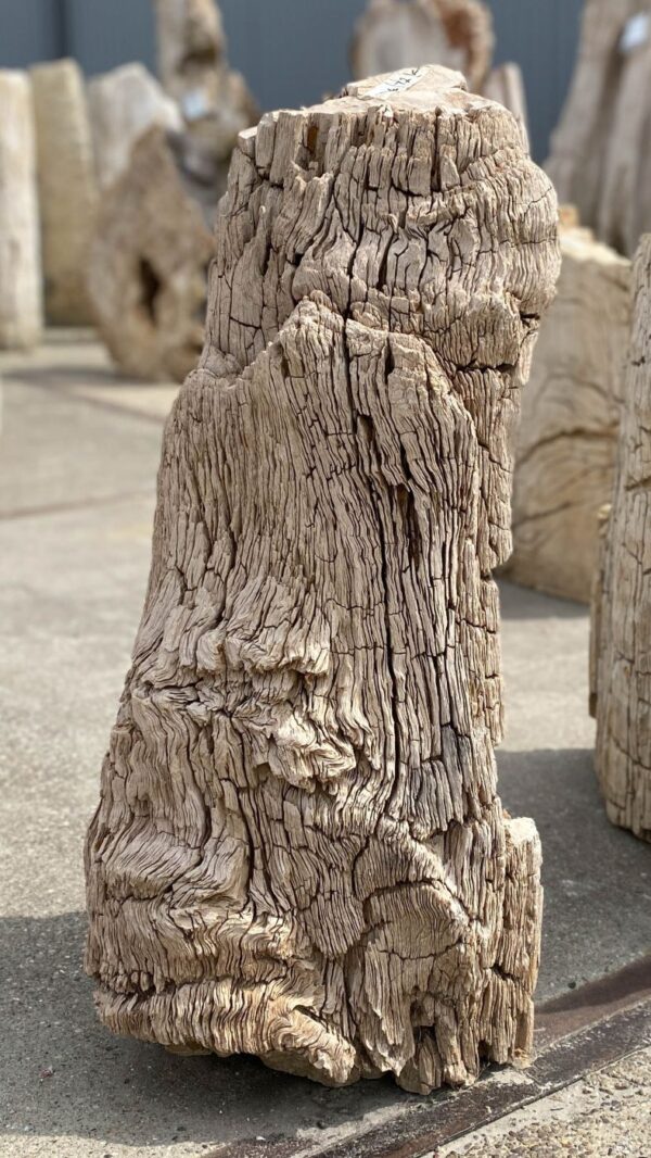 Memorial stone petrified wood 53095