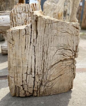 Memorial stone petrified wood 53096