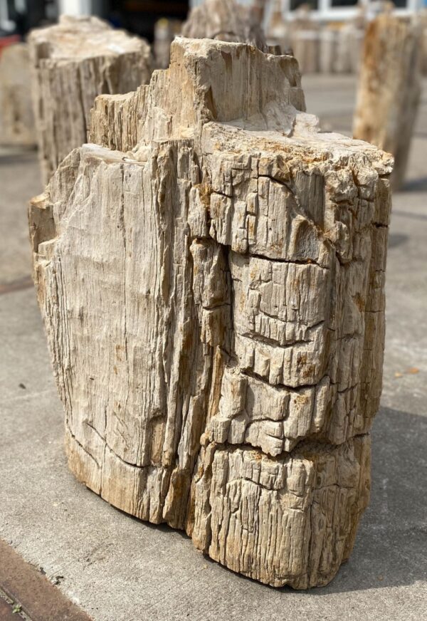 Memorial stone petrified wood 53096