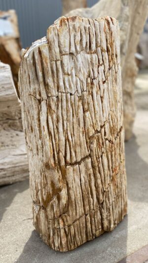 Memorial stone petrified wood 53097