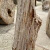 Memorial stone petrified wood 53100