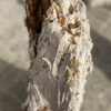 Memorial stone petrified wood 53100