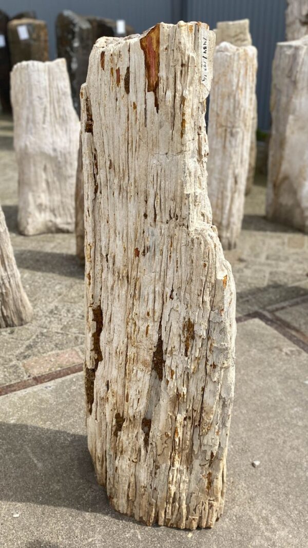 Memorial stone petrified wood 53101