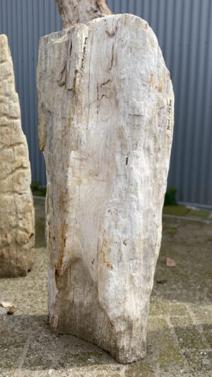 Memorial stone petrified wood 53107