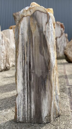 Memorial stone petrified wood 53131