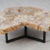 Mesa de centro madera petrificada 53285