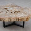 Mesa de centro madera petrificada 53288