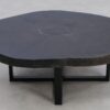 Salontafel versteend hout 49210