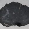 Salontafel versteend hout 53156