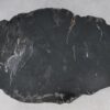 Salontafel versteend hout 53158