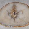 Salontafel versteend hout 53178