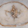 Salontafel versteend hout 53184