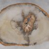 Salontafel versteend hout 53186