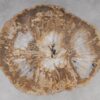 Salontafel versteend hout 53191