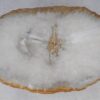 Salontafel versteend hout 53215