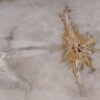 Salontafel versteend hout 53215