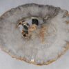 Salontafel versteend hout 53223