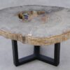Salontafel versteend hout 53223