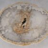 Salontafel versteend hout 53229