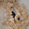 Salontafel versteend hout 53229