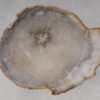 Salontafel versteend hout 53258