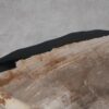 Salontafel versteend hout 53280