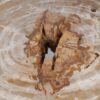 Salontafel versteend hout 53284