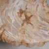 Salontafel versteend hout 53284