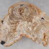 Salontafel versteend hout 53285