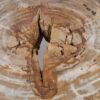 Salontafel versteend hout 53285