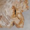 Salontafel versteend hout 53285
