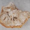 Salontafel versteend hout 53288