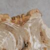 Salontafel versteend hout 53288