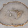 Salontafel versteend hout 53462