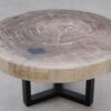 Salontafel versteend hout 53473