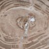 Salontafel versteend hout 53473