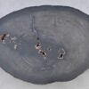 Table basse bois pétrifié 38167